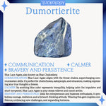 Stand Out From The Crowd Dumortierite Bracelet