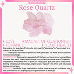 Fatally Attraction Rose Quartz Moon Charm Bracelet